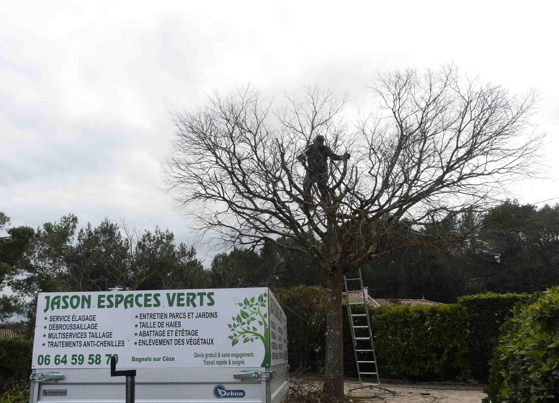 Grand jardin méditerranéen avec oliviers centenaires dans le Gard